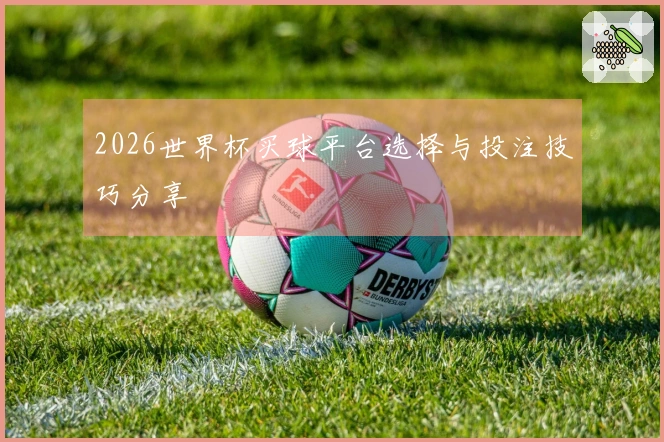 2026世界杯买球平台选择与投注技巧分享