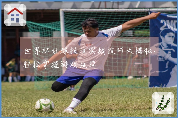 世界杯让球投注实战技巧大揭秘，轻松掌握游戏诀窍