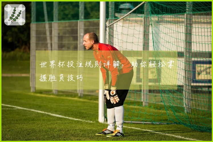世界杯投注规则详解，助你轻松掌握胜负技巧
