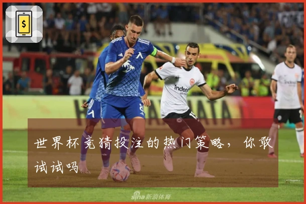 世界杯竞猜投注的热门策略，你敢试试吗