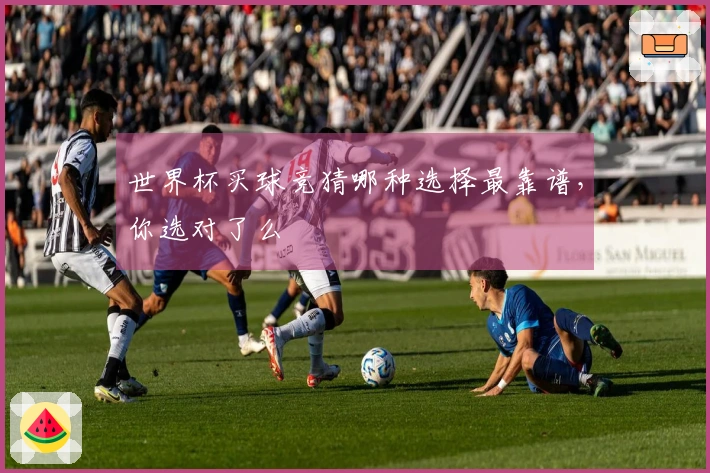 世界杯买球竞猜哪种选择最靠谱，你选对了么