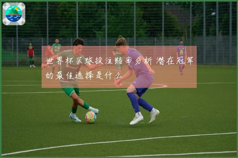 世界杯买球投注赔率分析 潜在冠军的最佳选择是什么