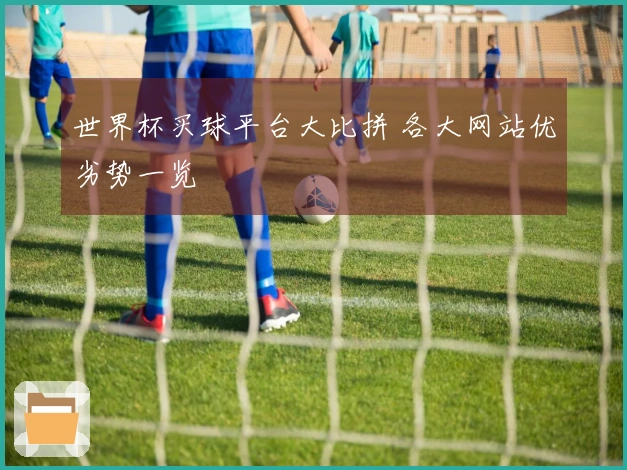 世界杯买球平台大比拼 各大网站优劣势一览