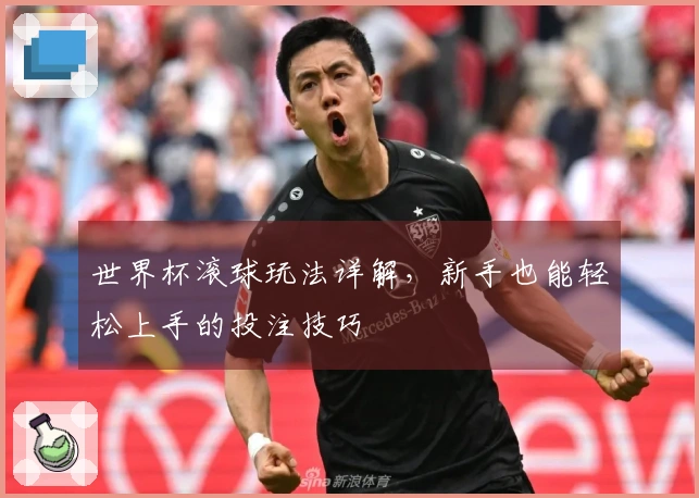 世界杯滚球玩法详解，新手也能轻松上手的投注技巧