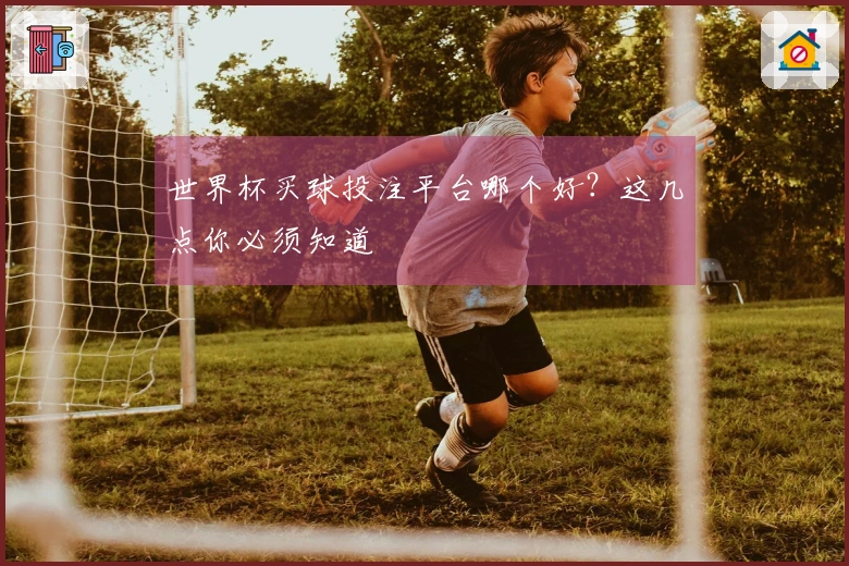 世界杯买球投注平台哪个好？这几点你必须知道