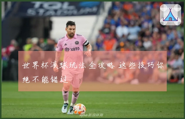 世界杯滚球玩法全攻略 这些技巧你绝不能错过
