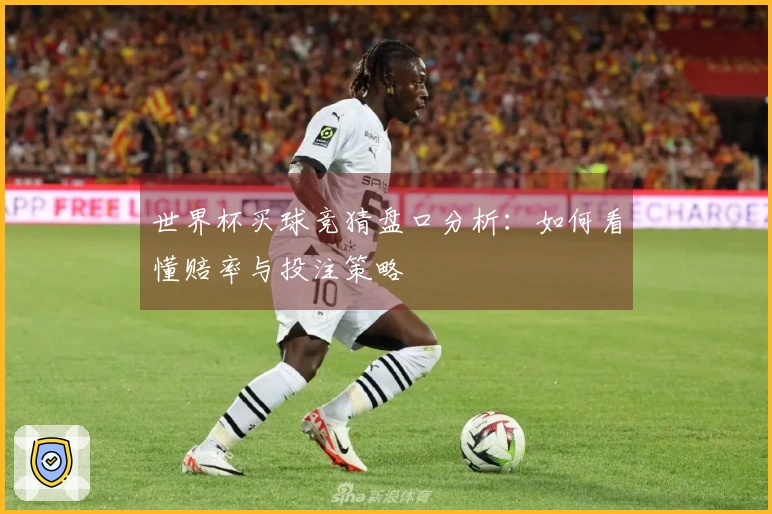 世界杯买球竞猜盘口分析：如何看懂赔率与投注策略