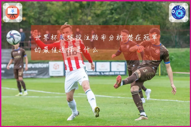 世界杯买球投注赔率分析 潜在冠军的最佳选择是什么