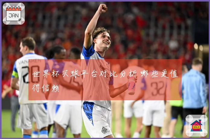 世界杯买球平台对比分析 哪些更值得信赖
