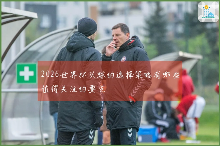 2026世界杯买球的选择策略有哪些值得关注的要点