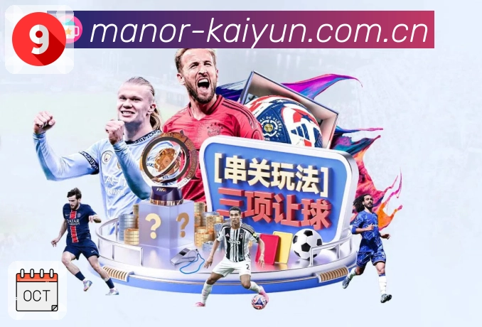 安全保障与稳定体验